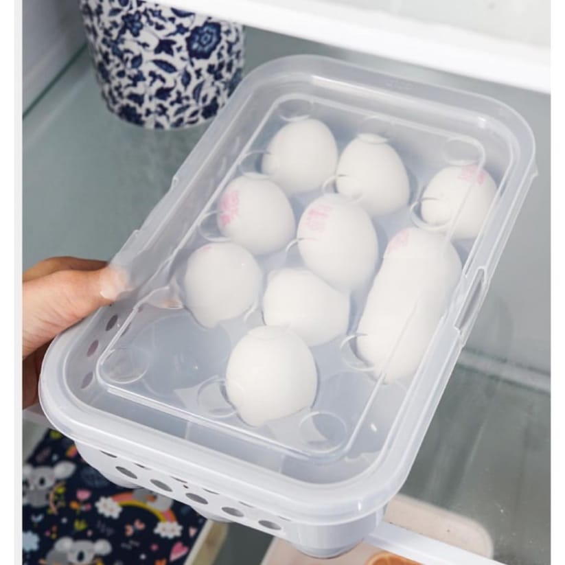 Egg storage try