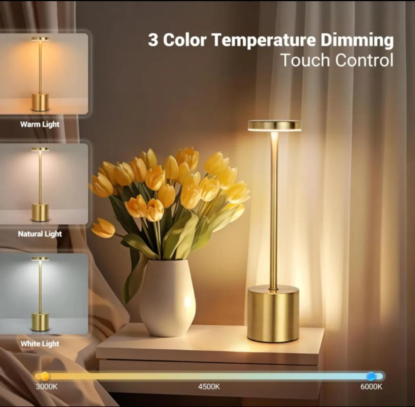 Rechargeable Table Touch Lamp